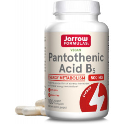 Jarrow Formulas Pantothenic Acid B5 500 мг, дієтична добавка, вітамін B5 для підтримки гормонів надниркових залоз і метаболізму клітинної енергії, 100 вегетаріанських капсул, запас на 100 днів