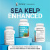 Berg Sea Kelp Enhanced — Поддержка щитовидной железы, натуральные антиоксиданты и йодная добавка с органическими морскими водорослями и сине-зелеными водорослями — Поддержка иммунной системы и обмена веществ — теперь без красных водорослей — 90 капсул