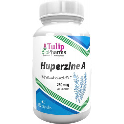 Гуперзин А (Huperzin A) 250 мкг Tulip BioPharma - 120 капсул