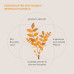 Экстракт ладана (Boswellia Serrata) 500 мг Kurkraft – 180 капсул