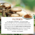 Грибний комплекс NATURTREU - 120 капсул