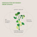 Гінкго білоба (Ginkgo Biloba) 6000 Kurkraft - 180 капсул