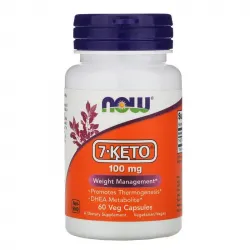 Now Foods, 7-KETO, 100 мг, 60 рослинних капсул