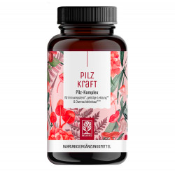 Грибний комплекс NATURTREU - 120 капсул