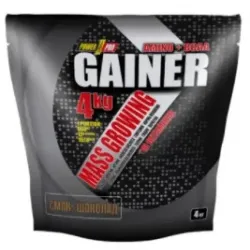 Power Pro, Gainer, 4 кг, бразильский орех